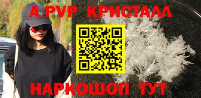 твердый Бийск